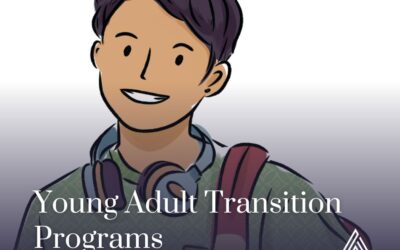 Young Adult Transition Programs: A Vetting Guide for Educational Consultants